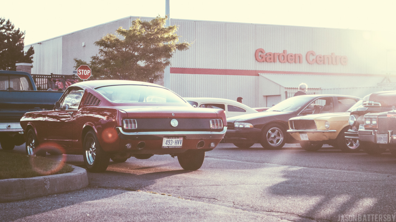 batt-mobile:  Mustang Fastback - Cruise Night in Toronto, 2014 - Photography by