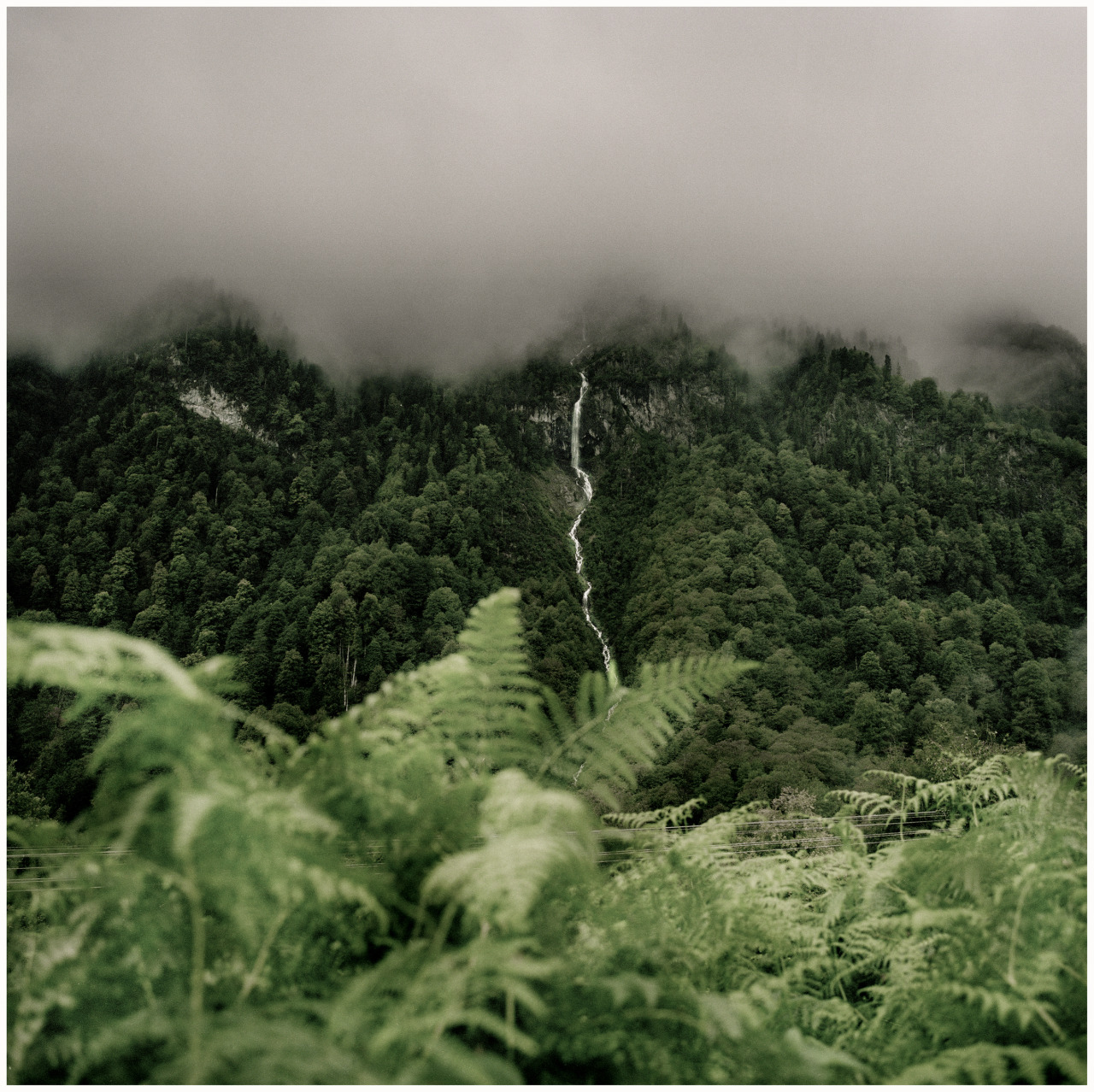 © Davide Monteleone, Red Thistle #065, Abkhazia, 2008.