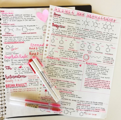 Full valentine day set of notes❤️ can’t wait for it to come again next year❣️