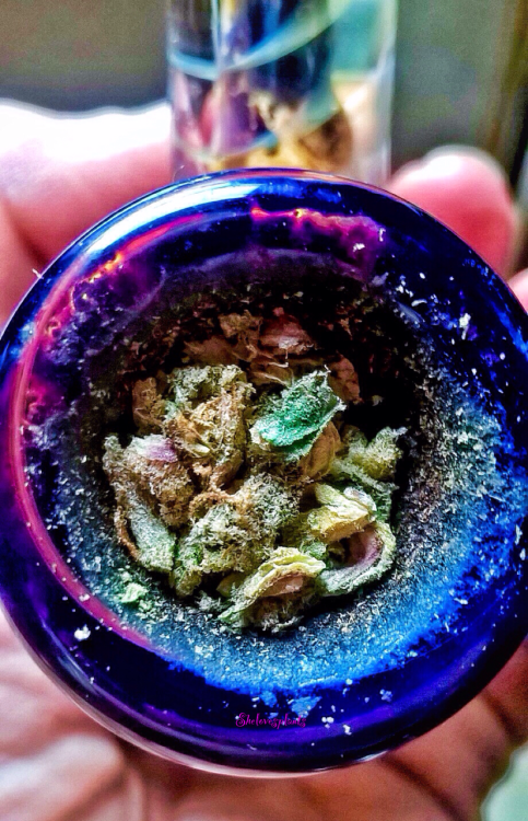 shelovesplants: Girl Scout cookie bowl looking pretty 🍪💨💕🍪💨💕