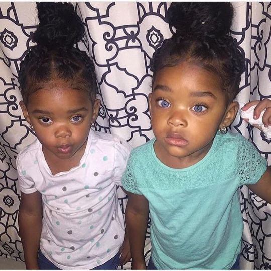 rainbow-unicorn-monkeyballs:  yokhakidfiasco:  rafeeqj:  Woah rare  cydbee are they