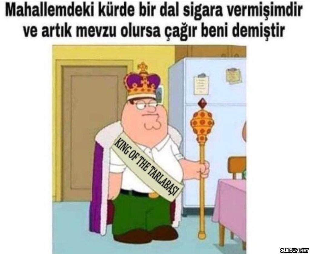 Mahallemdeki kürde bir dal...