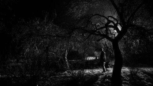 November (2017, Ranier Sarnet)