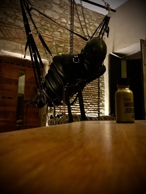 dgbastide-blog:  He’s an older guy, but not that experienced, so rather than leave him in the playroom, while I cooked dinner, I had him “hang around” in my dinning room, where I could keep an eye on him. Multi tasking, dealing with the day to