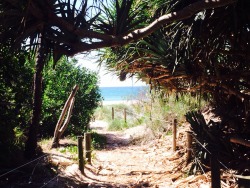 Perle-An-Der-Spree:  Byron Bay 