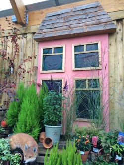 berry-bub:look at this cute litol pink house