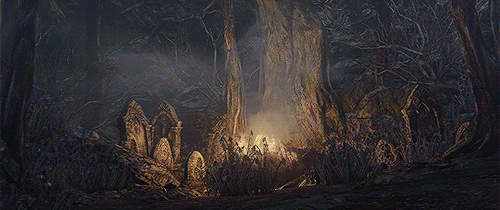 perishx:  ➳ Forbidden Woods  