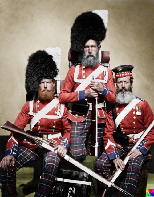 flashandfootle:  Nobel, Dawson and Harper of the 72nd (Duke of Albany’s Own Highlanders) Regim