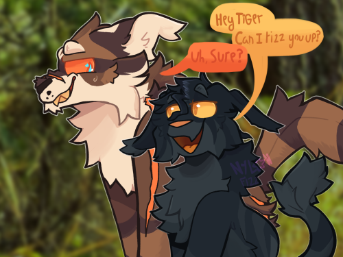 Darktiger Amiright