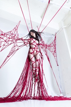 kinokohajime:  REDシリーズの新しい作品ができました。 是非ご覧ください。  Model七菜乃 Rope Kinoko Hajime Photo Kinoko Hajime  ※胸と股間のボカシは、web投稿のためあえてボカシています。  一鬼のこWEBhttp://shibari.jp