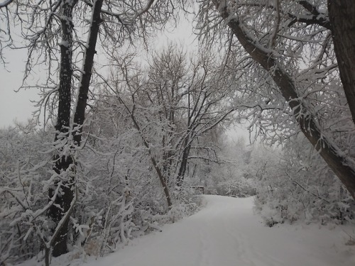 Day#5 Nothing like adventures in a winter wonderland ❄️