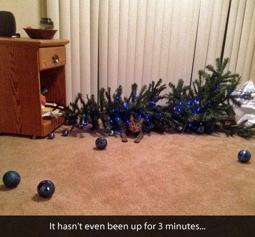He’s never been one to waste time