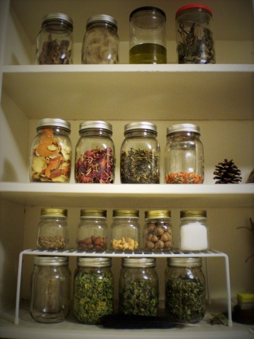 pathofthegreenwitch: Recently, I came across a post warning against storing your herbs in glass jars