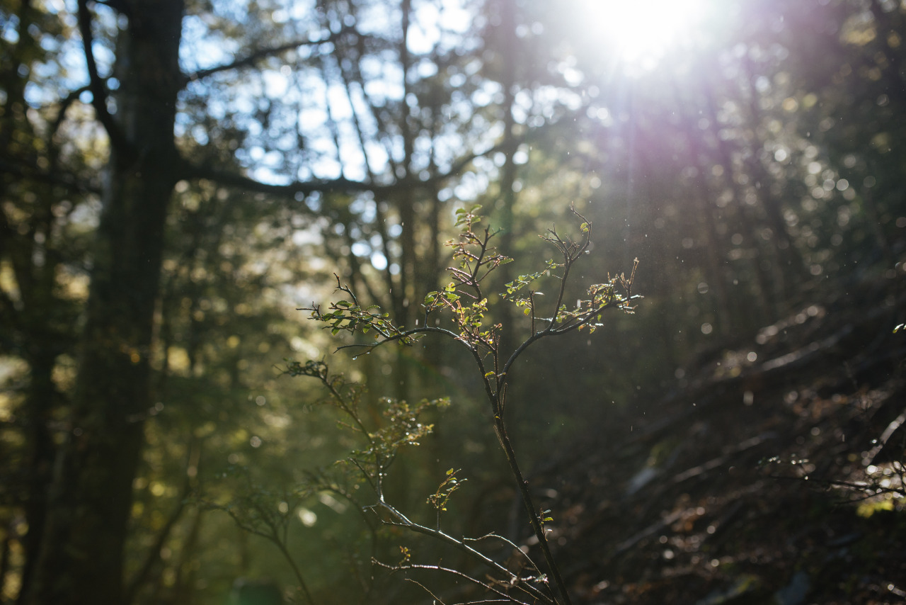 landofstan:  Ok, so today it rained and then it stopped and it was sunny  