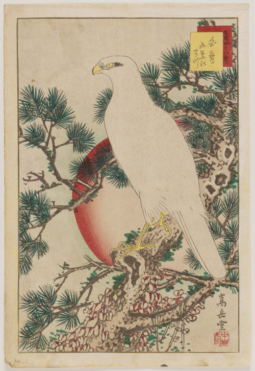 Kachō-ga fu 花鳥 画 譜 :Title page ( Mokuroku 目録 ) No. 1, White Falcon and Five-needled Pine (Shirotaka 