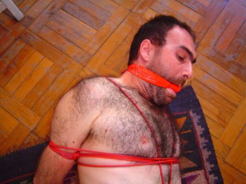 gaggedprince: Bound and humiliated daddy