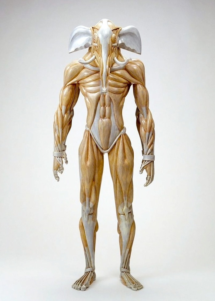 gdfalksen:  via Masao Kinoshita’s Sculptures Play With Exaggerated Anatomy | Hi-Fructose