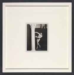 el-corruptor:  Robert Mapplethorpe   yes