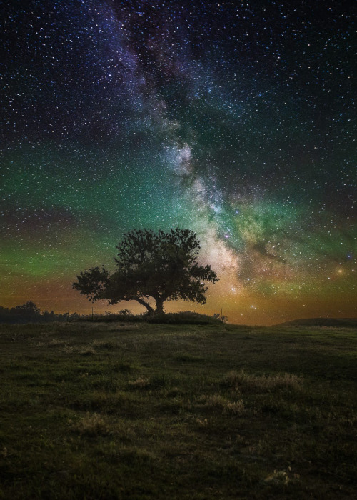 coiour-my-world:Infinity ~ Aaron Groen