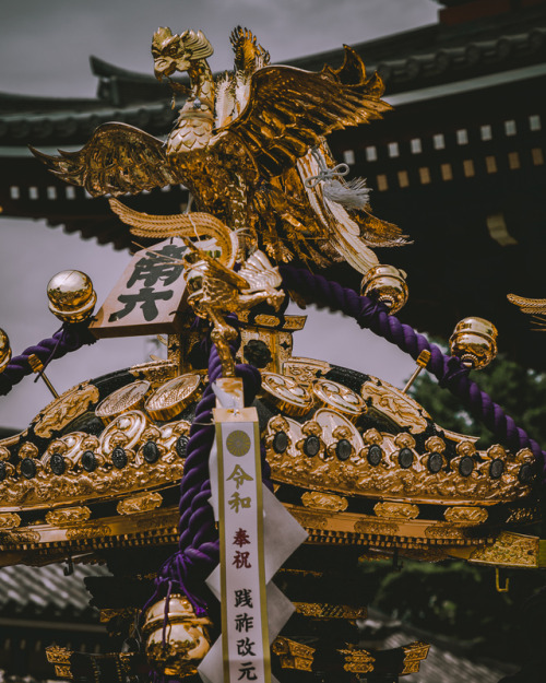  Matsuri mood ⛩Sanja Matsuri is one of the most popular festivals in Tokyo and held on the third wee