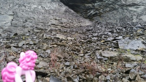 pinkiepiesightings:“I bet Maud would love this talus slope. And check out those strata!”