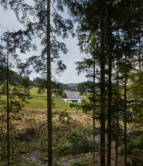 Good wood - So this is what minimalist chalet-life looks like in the Czech mountains, pretty darn ti