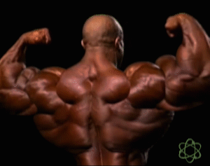 musclexperiments:  Back of Phil Heath, Wall of solid muscles! 