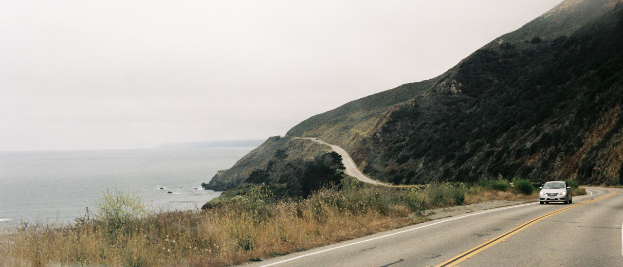 curiousname-searchinggame:  samleathersphoto:  scenes from California. Sam Leathers