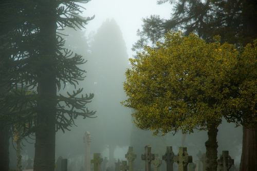 Foggy Graveyard by Cissa Rego on Flickr.