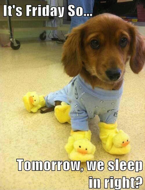 You bet your little ducky boots