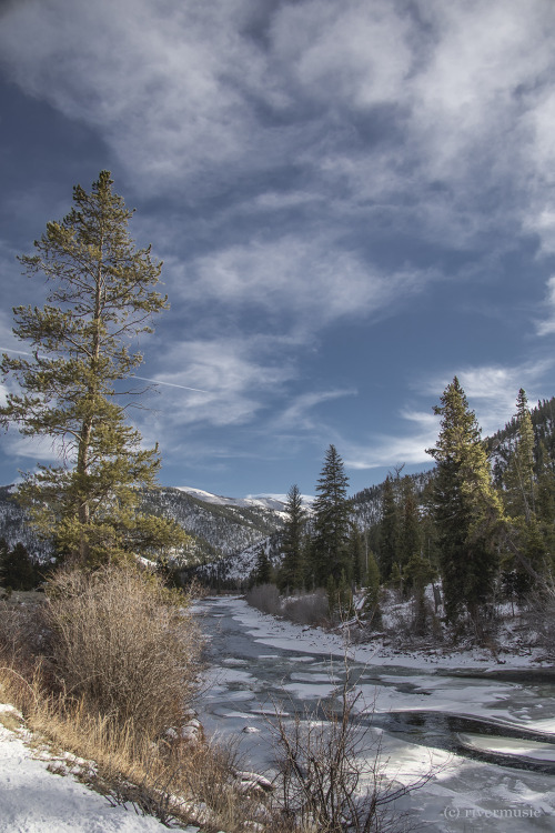 riverwindphotography:Blue Skies, Shoshone National Forest, Wyoming: © riverwindphotography, November