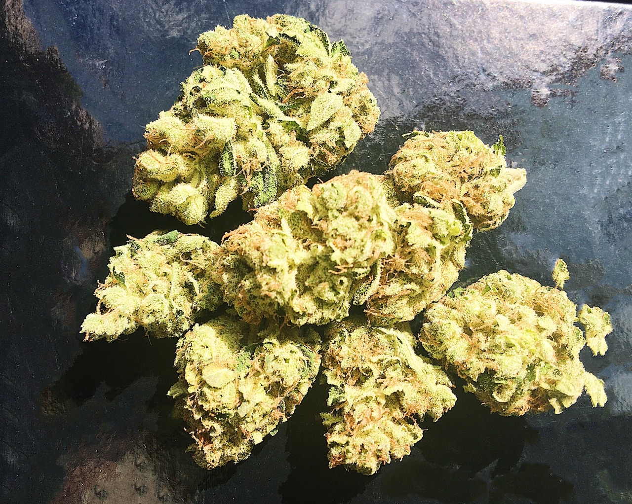 emmmaryjane:Headband 
