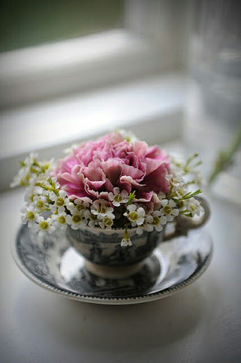 I love carnations. Sweet and spicy scent, so pretty, ruffled, graceful, and delicate