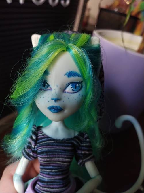 My first attempt at doing a faceup/reroot of a monster high doll! A little rough but I think she loo