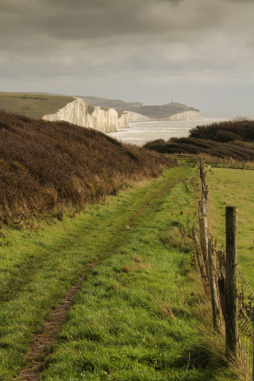 wanderthewood:Path leading down to the beach at Seaford head, East Sussex, England by Martins - Phot