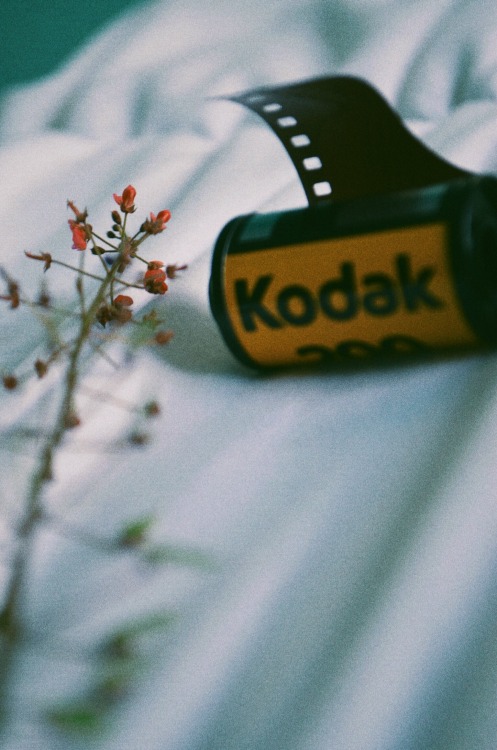distingvished:  Smile. 