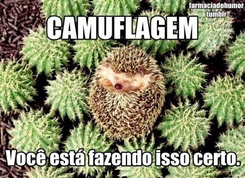 farmaciadohumor:  [FDH] 