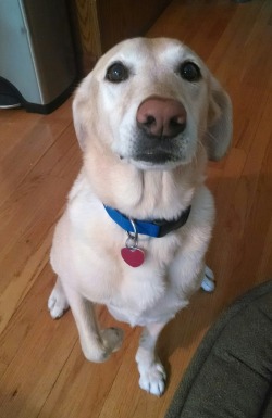 awwww-cute:  This might not mean much to y'all but my best friend just turned 11 today and I thought she looked beautiful (Source: http://ift.tt/2FTYMjI)