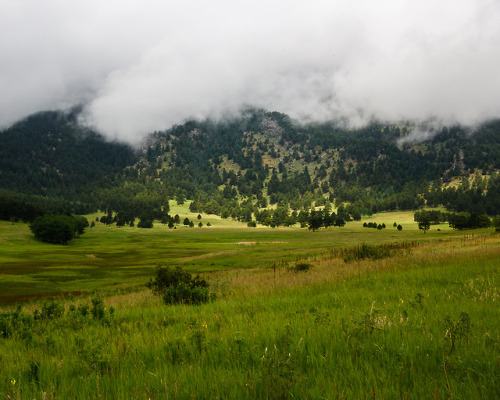 daskibum: Sun breaking through low clouds.  Elk Meadows.