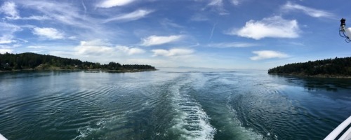 Panorama: Cruising Through the Gulf Islands Between Tswassen and Swartz Bay, British Columbia, 2016.