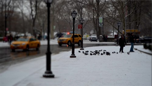 Blanc i groc, New York
Una imatge típica de l'hivern de Nova York