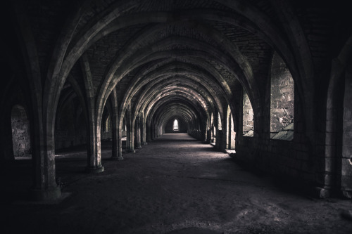 freddie-photography:  Fountains Abbey, YorkshirePhotographed with a Sigma 24mm F/1.4 Art: Sigma-imaging-uk.comBy Frederick Ardley: Freddieardley.com