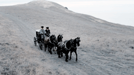 goddessofmortality:Sanditon: Episode 7↳ I don’t believe that anybody is truly unsuited to marriage.