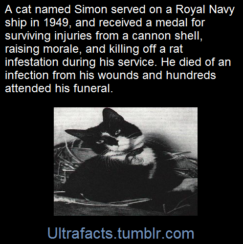 ultrafacts:    (Fact Source) for more facts, follow Ultrafacts   