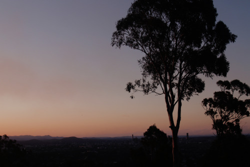 Watched The Sunset And The Beautiful Sky Painted Itself In Shades Of Purple And Orange.