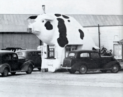 California Crazy - Roadside Vervancular Architecture By Jim Heimann &Amp;Amp; Rip