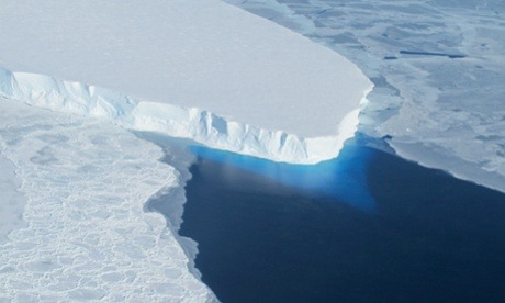 currentsinbiology:  Western Antarctic ice sheet collapse has already begun, scientists warn (The Guardian) The collapse of the western Antarctic ice sheet is inevitable and is already underway, scientists said on Monday. The melt will cause up to four