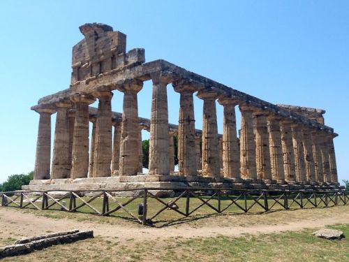 ancientgreecebuildings:PaestumTemple of Athena, built around 500 BCEPaestum, July 26, 2019