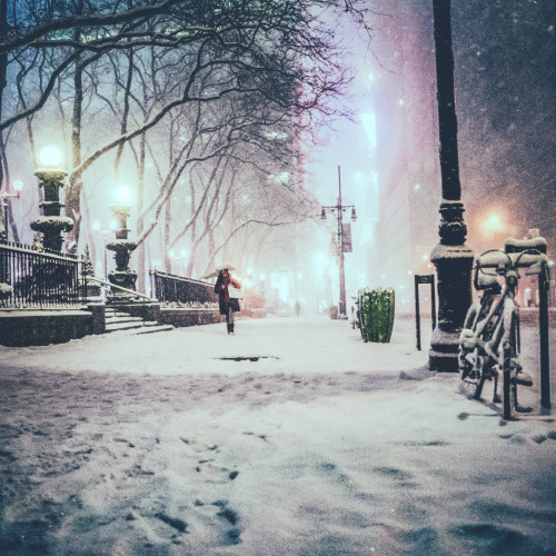 snowstorm, new york city