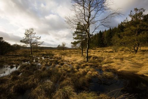 scienceyoucanlove:  Who Were the Ancient Bog Mummies? Surprising New Clues Ongoing research suggests at least two 2,000-year-old corpses had traveled before their deaths. Christine Dell’Amore in Copenhagen National Geographic PUBLISHED JULY 18, 2014